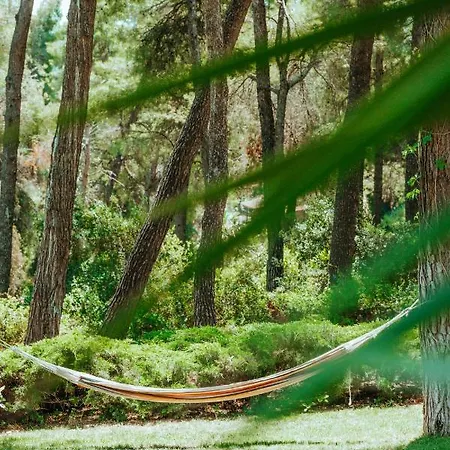 Vacation With Large Garden In Sani's Forest *