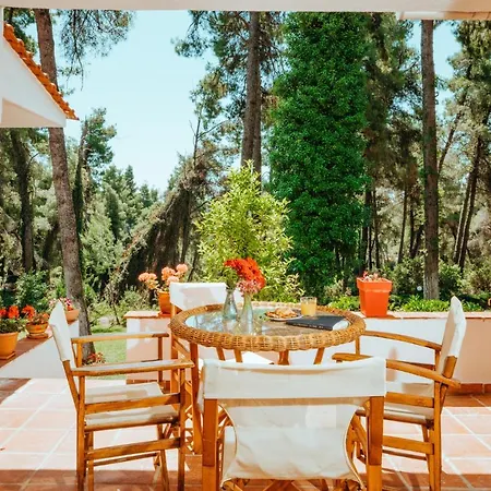 Case de vacanță Vacation With Large Garden In Sani's Forest *