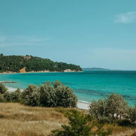 Case de vacanță Vacation With Large Garden In Sani's Forest Sani (Chalkidiki)
