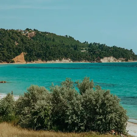 Vacation With Large Garden In Sani's Forest * Sani (Chalkidiki)