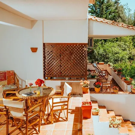 Vacation With Large Garden In Sani's Forest Case de vacanță Sani (Chalkidiki)