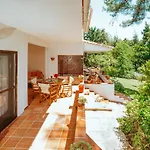 Vacation With Large Garden In Sani's Forest