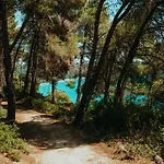 Vacation With Large Garden In Sani's Forest Semesterbostad Sani (Chalkidiki)