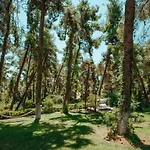 Vacation With Large Garden In Sani's Forest *