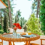 Vacation With Large Garden In Sani's Forest Semesterbostad Sani (Chalkidiki)