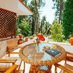 Vacation With Large Garden In Sani's Forest