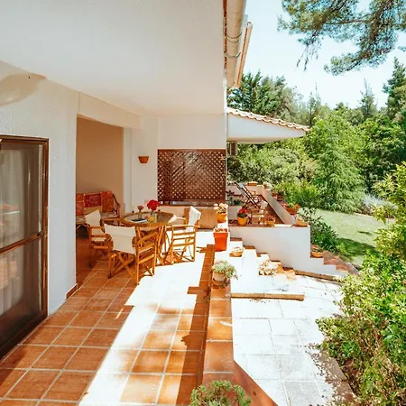 Vacation With Large Garden In Sani's Forest