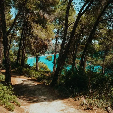 Vacation With Large Garden In Sani's Forest Prázdninový dům Sani (Chalkidiki)