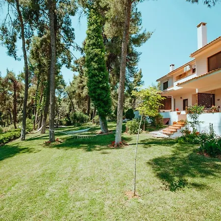 Vacation With Large Garden In Sani's Forest