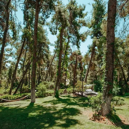 Vacation With Large Garden In Sani's Forest *