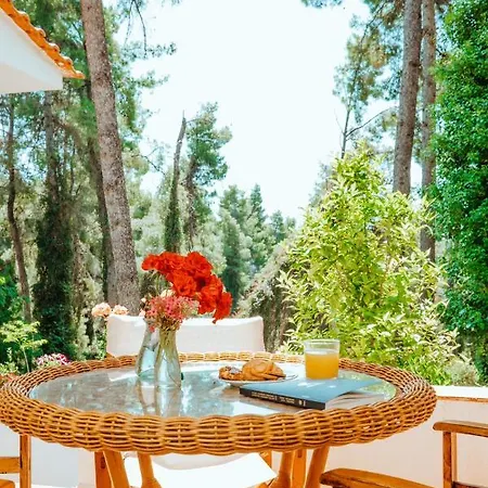 Vacation With Large Garden In Sani's Forest Prázdninový dům Sani (Chalkidiki)