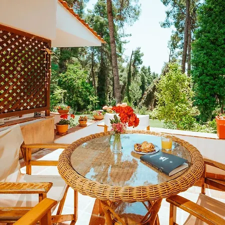 Vacation With Large Garden In Sani's Forest