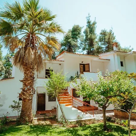 Vacation With Large Garden In Sani's Forest *